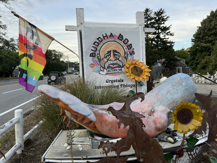 Exploring Buddha Bobs: Cape Cod’s Hidden Gem for the Soul