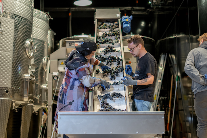 Liva At Chicago Winery Offers One-Stop Spot For Food, Tasting And Tours in River North