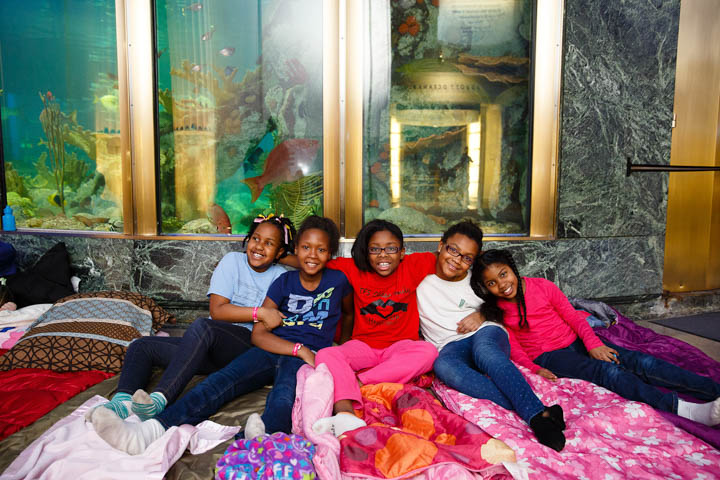 Fall Experiences At Shedd