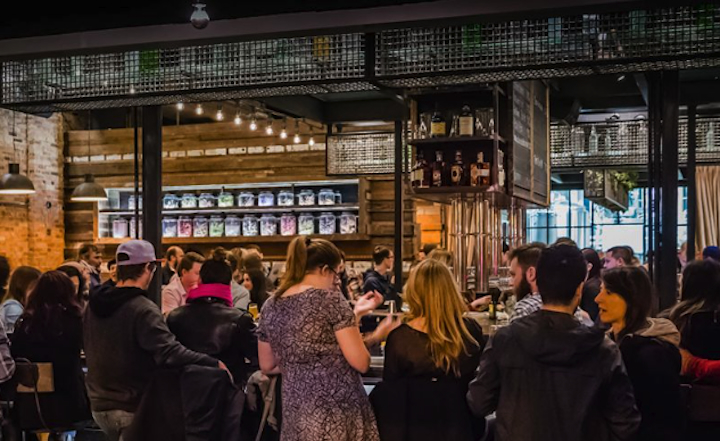 Chicago's First Botanical Brewery In Ukrainian Village