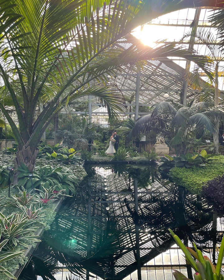 An Adventure At Chicago’s Garfield Park Conservatory