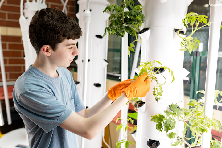 Growing Piece: Teen Tackles Food Insecurity One Hydroponic Tower at a Time