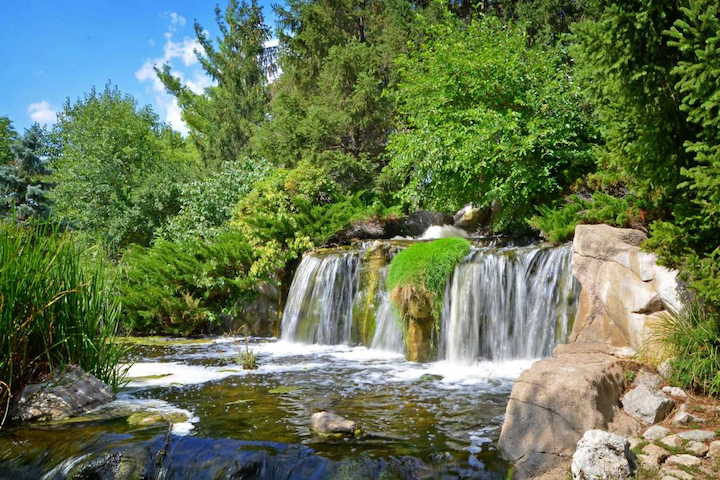 Lake Katherine Nature Center: Palos Heights’ Hidden Wild Heart of the Southwest Suburbs