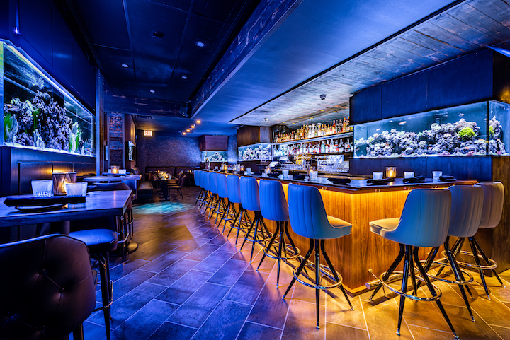 Lost Reef Is Chicago's First Aquatic Lounge