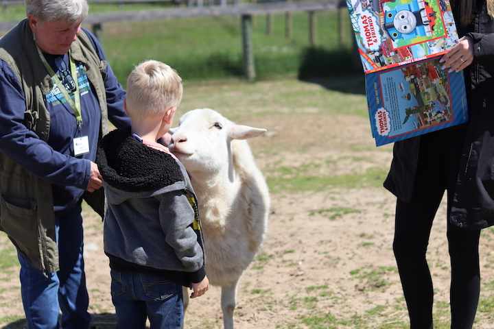 Animal-Assisted Therapy for Kids and Seniors: Meridian & YouthCare Partner with Main Stay Therapeutic Farm