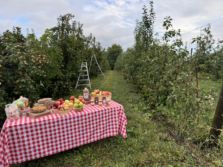 Heritage Meets Innovation: The Story of Mick Klug Farms