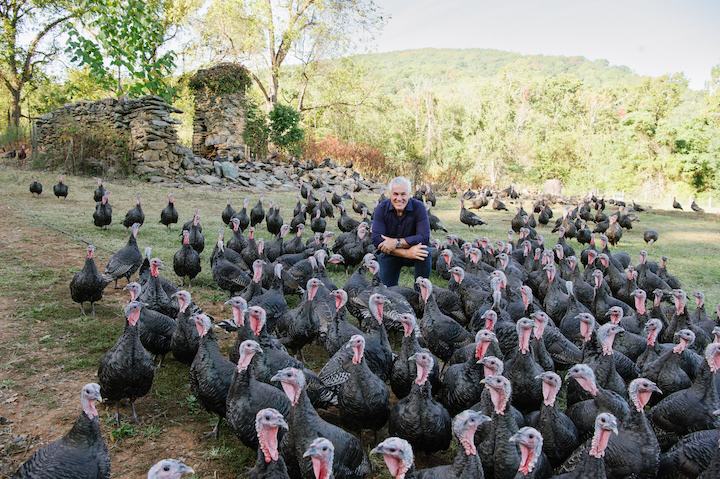 The Ultimate Thanksgiving Expert: Paul Kelly Shares His Turkey Tips