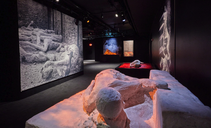 Life and Death In Ancient Pompeii At Museum Of Science And Industry