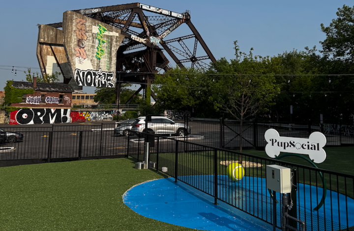 Pup Social: Chicago’s Premier Private Dog Club Redefining Pet-Friendly Living