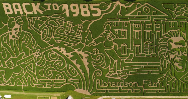 Fall’s Greatest Escape: Inside the World’s Largest Corn Maze at Richardson Adventure Farm