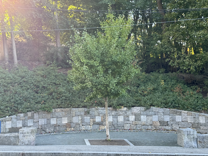 Unveiling the Forgotten Site of the Salem Witch Trial Hangings
