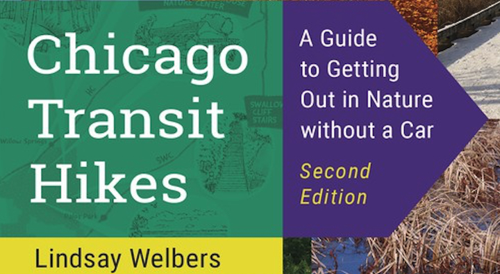 Chicago, Off the Rails: How Train Lines Lead to Forests, Dunes, and the City’s Best-Kept Natural Secrets