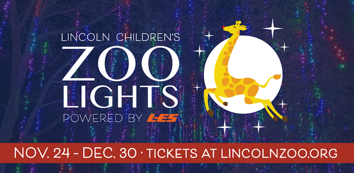 The Zoo Lights Are Here And They Don't Disappoint